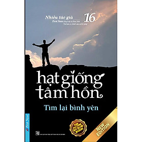 Sách - Hạt Giống Tâm Hồn 16 - Tìm Lại Bình Yên - First News