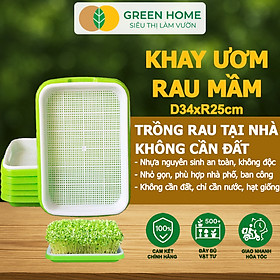 Khay Trồng Rau Greenhome, D34xR25xC5cm, Nhựa Nguyên Sinh, An Toàn, Chuyên Trồng Giá, Rau Mầm Tại Nhà, Không Cần Đất