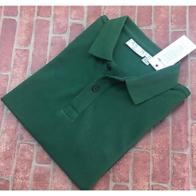 Áo Thun cotton  Nữ Có Cổ -Màu ve chai (45-75kg)