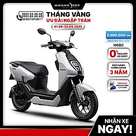 Xe Máy Điện Honda ICON e - Phiên Bản Đặc Biệt