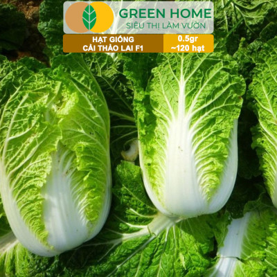 Hạt Giống Cải Thảo Goki Greenhome, Bao 0,5gr~120 hạt, Dễ Trồng, Nảy Mầm Cao, Năng Suất Cao T22
