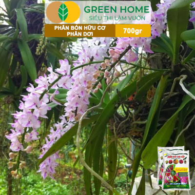 Phân Dơi Greenhome, Bao 700gr, Viên Nén, Đã Qua Xử Lý, Ra Rễ Mạnh, Hoa Nhiều, Tốt Cho Lan, Kiểng, Rau, Cây Ăn Trái