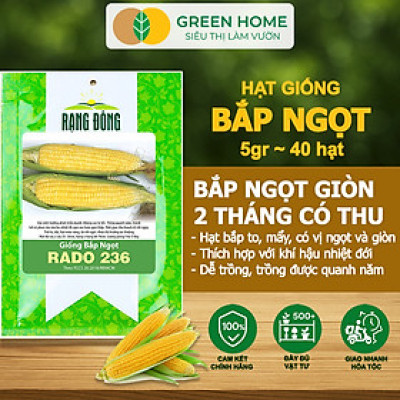 Hạt Giống Bắp Ngọt, Greenhome, Gói 5GR~40 hạt, Dễ Trồng Quanh Năm, Nảy Mầm Cao, T29