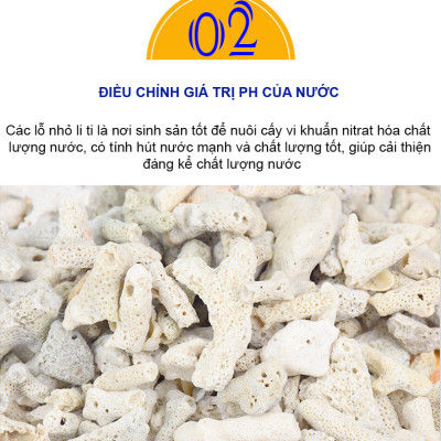 5KG San Hô Vụn vật liệu lọc hồ cá, trang trí bể cá, hồ thủy sinh cao cấp