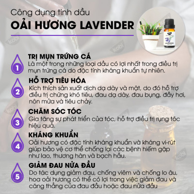 Combo 3 Tinh Dầu Xông Phòng Kháng Khuẩn Sả Chanh, Cam Ngọt, Oải Hương Kobi Giúp Khử Trùng, Thanh Lọc Không Khí, Khử Mùi, Đuổi Muỗi Nguyên Chất (30ml/Lọ)