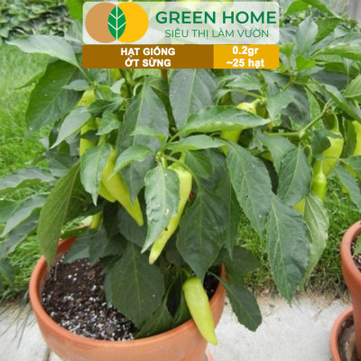 Hạt Giống Ớt Sừng Greenhome, Gói 0,2g~25 hạt, Dễ Trồng Quanh Năm,Thu Hoạch Nhanh, Năng Suất Cao G15