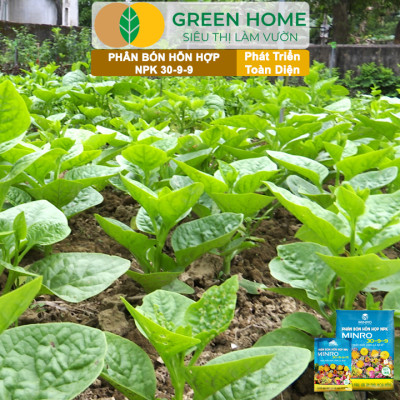 Phân NPK 30-9-9 +TE Greenhome, Minro, Bao 1Kg, Phát Triển Nhanh Thân, Cành, Lá, Bộ Rễ