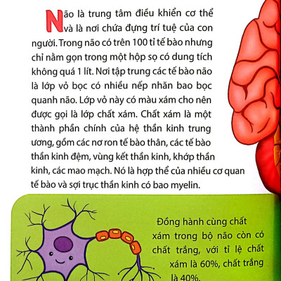 Sách - 10 Vạn Câu Hỏi Vì Sao-Những Câu Hỏi Thú Vị Về Cơ Thể Người