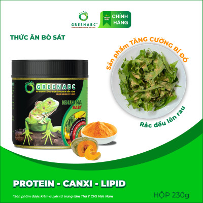 Thức ăn bò sát Iguana Baby GREENABC vị bí đỏ dùng cho Iguana từ mới nở cho đến 9x giúp tăng kích thước, lên màu đẹp, phòng chống MBD, teo đuôi – Hộp 230g