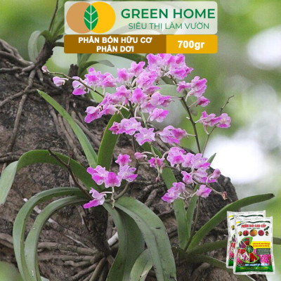 Phân Dơi Greenhome, Bao 700gr, Viên Nén, Đã Qua Xử Lý, Ra Rễ Mạnh, Hoa Nhiều, Tốt Cho Lan, Kiểng, Rau, Cây Ăn Trái