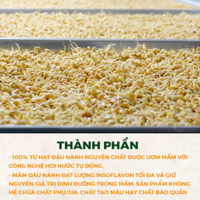 Combo 02 Hộp Mầm Đậu Nành Nguyên Xơ MS Tăng Vòng 1, Cải Thiện Nội Tiết Phụ Nữ