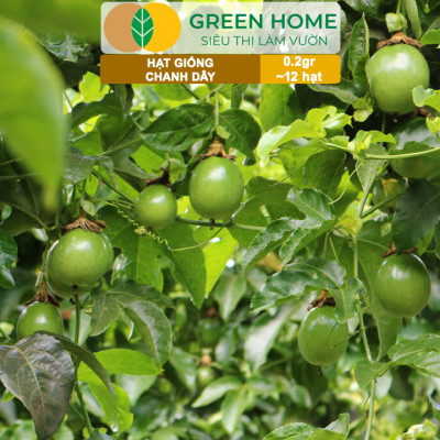 Hạt Giống Chanh dây Greenhome, Gói 0,2g~12 hạt, Dễ Trồng Quanh Năm,Thu Hoạch Nhanh, Năng Suất Cao T21