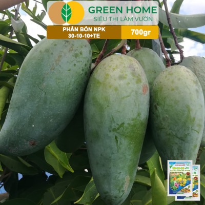 Phân Bón NPK 30-10-10+TE, Greenhome, Gói 700Gr, Giúp Cây Đẻ Nhánh, Bung Chồi, Nhú Đọt, Tốt Rễ