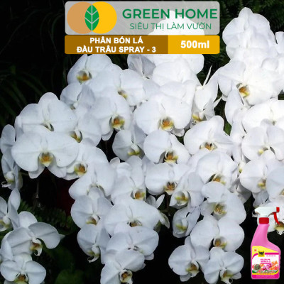 Phân Bón Lá Đầu Trâu Spray-3 Greenhome, Bình Điền, Chai 500ml, Dưỡng Hoa Lâu Tàn, Chuyên Lan Và Hoa