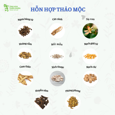 Viên ngậm ho thảo mộc Zalocol  Hỗ trợ giảm đờm, đau rát họng, khản tiếng (Hộp 20 viên) - Genat - Giao 2H HCM