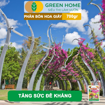 Phân Bón Hoa Giấy Greenhome, Bao 700gr, Hữu Cơ, Giúp Thân Cứng Cáp, Tạo Tán, Ra Bông Nhiều, Lâu Tàn