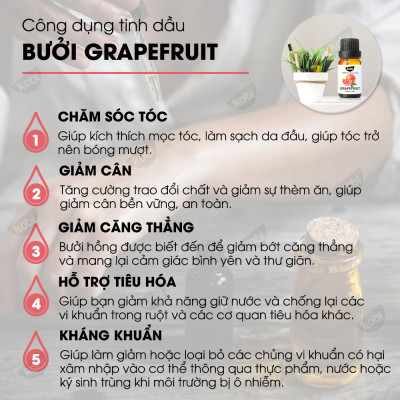 Combo 3 Tinh Dầu Kobi Nhập Khẩu Ấn Độ: Tinh Dầu Bạc Hà (30ml) + Tinh Dầu Oải Hương (30ml) + Tinh Dầu Vỏ Bưởi (30ml) - Tinh Dầu Thiên Nhiên Nguyên Chất, Giúp Giảm Stress, Xua Đuổi Côn Trùng Và Khử Mùi Hiệu Quả, Thích Hợp Dùng Với Đèn Xông Và Máy Khuếch Tá