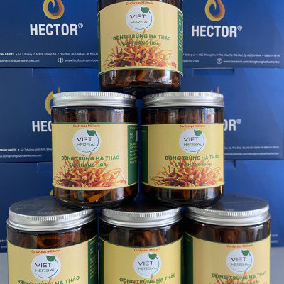 Đông trùng hạ thảo sấy thăng hoa hũ 10g tăng cường sức khỏe sức đề kháng