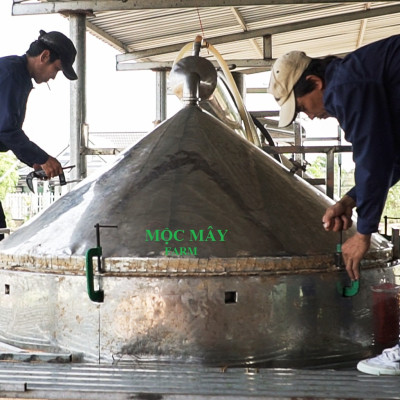 Tinh dầu Hương Nhu 50ml Mộc Mây - tinh dầu thiên nhiên nguyên chất 100% - chất lượng và mùi hương vượt trội - chuyên gia chăm sóc tóc hư tổn