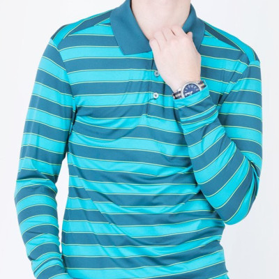 Áo thun tay dài cổ bẻ kẻ màu xanh ngọc Aligo ALGAPD012