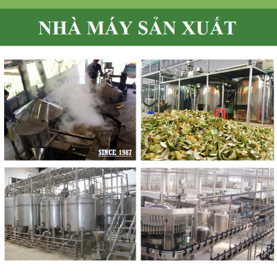 Tinh dầu Bưởi Da Xanh 100ml nguyên chất từ vỏ bưởi thiên nhiên, xông phòng, khử mùi, thơm phòng, đuổi muỗi - KingOil