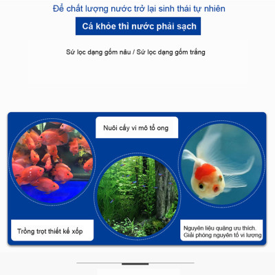 Sứ Lọc Bể Cá túi 1KG + Phân nền Dia MAX AQUA 2KG trồng cây thủy sinh hồ cá