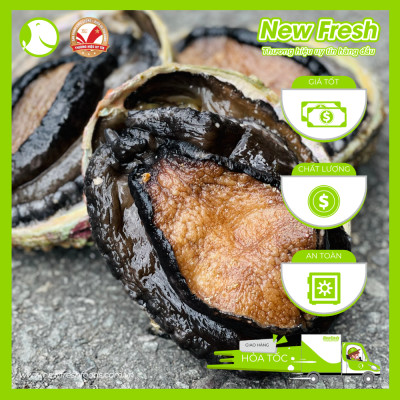 Bào Ngư Úc Viền Đen Đông Lạnh - Hộp 1Kg