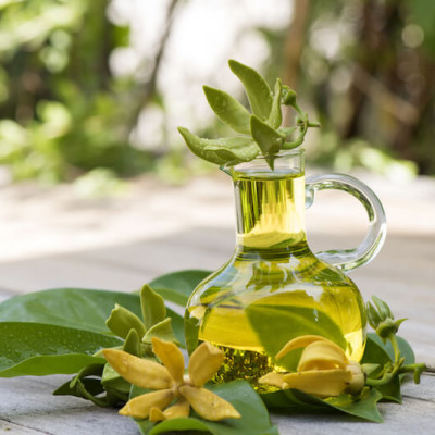 Tinh dầu Ngọc Lan Tây 100ml Mộc Mây - tinh dầu thiên nhiên nguyên chất 100% - chất lượng và mùi hương vượt trội