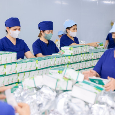 Trà Lá Ổi Mychi - Giảm CÂn, Tan Mỡ, Ngừa Mỡ Máu