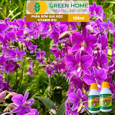 Chế Phẩm Vitamin B12 Greenhome, Chai 100ml, Chống Sốc, Phục Hồi Giải Độc Cho Lan, Cây Cảnh Khi Bị Bón Phân Quá Liều