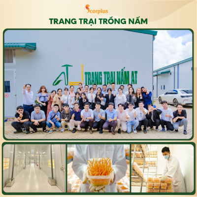 [LOẠI THƯỢNG HẠNG] Nước chiết xuất trùng thảo fucoidan không đường SCORIUS 420ml bồi bổ sức khỏe