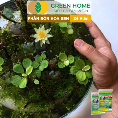 Phân Bón Hoa Sen Greenhome, Vỉ 24 Viên, Cây Thuỷ Sinh, Ngập Nước, Cho Hoa To, Hoa Đậm Màu, Lâu Tàn, Tốt Lá