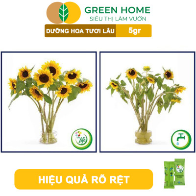 10Gói Dưỡng Hoa Tươi Lâu Greenhome, Longlife, Bón Cho Hoa Cắt Cành, Gói 5gr, Lâu Tàn, Không Hôi Nước