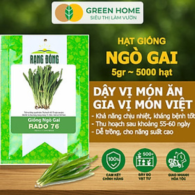 Hạt Giống Ngò Gai Greenhome, Gói 5gr~5000 hạt, Mùi Tàu, Dễ Trồng Quanh Năm, Nảy Mầm Cao, Thu Hoạch Nhanh, Năng Suất Cao G08