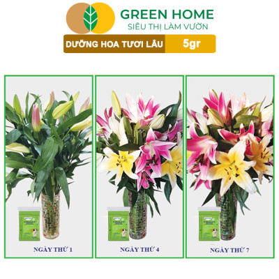 10Gói Dưỡng Hoa Tươi Lâu Greenhome, Longlife, Bón Cho Hoa Cắt Cành, Gói 5gr, Lâu Tàn, Không Hôi Nước