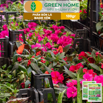 Phân Bón Lá Magie Kẽm, GreenHome, Gói 100GR, Chuyên Dùng Cho Hoa Kiểng