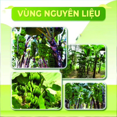 ( Túi tiện Lợi) OCOP Bột Chuối tiêu Xanh - 29.9% Tinh Bột Kháng - Nguyên Chất ( Đã Kiểm Nghiệm )