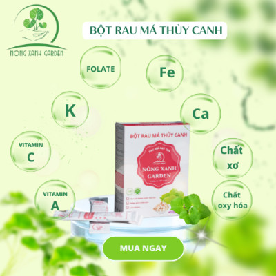 Nông Xanh Garden Bột Rau Má Thủy Canh Hạt Sen Hộp 15 gói (10gr/1 gói) hòa tan uống liền, dễ uống, thanh nhiệt, mát gan, làm đẹp da