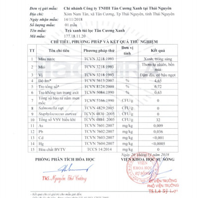 Trà Xanh Túi Lọc Tân Cương Xanh - Trà túi lọc thượng hạng, dùng pha chế, tiện lợi dùng văn phòng, đi công tác