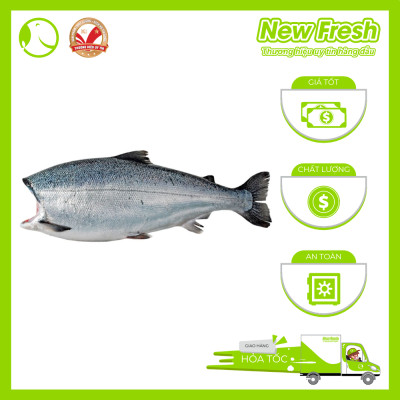 Cá Hồi Chile Nguyên Con Đông Lạnh Không Đầu Thơm Ngon Dinh Dưỡng | 1 Con ~ 4 - 4.5Kg
