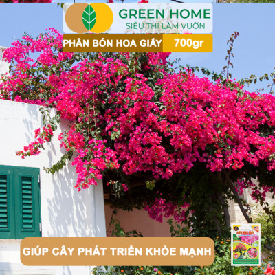 Phân Bón Hoa Giấy Greenhome, Bao 700gr, Hữu Cơ, Giúp Thân Cứng Cáp, Tạo Tán, Ra Bông Nhiều, Lâu Tàn