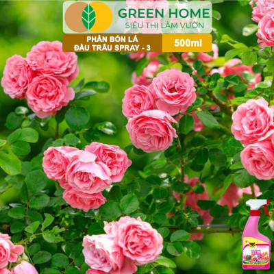 Phân Bón Lá Đầu Trâu Spray-3 Greenhome, Bình Điền, Chai 500ml, Dưỡng Hoa Lâu Tàn, Chuyên Lan Và Hoa