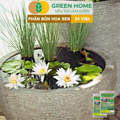 Phân Bón Hoa Sen Greenhome, Vỉ 24 Viên, Cây Thuỷ Sinh, Ngập Nước, Cho Hoa To, Hoa Đậm Màu, Lâu Tàn, Tốt Lá