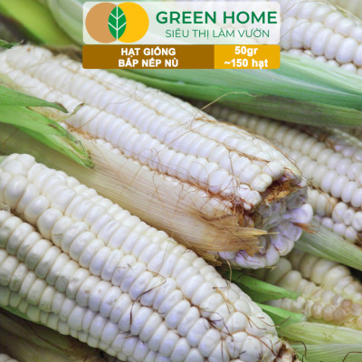 Hạt Giống Bắp Nếp Nù, Greenhome, Gói 50GR~150 hạt, Dễ Trồng Quanh Năm, Nảy Mầm Cao, T33
