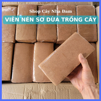 Viên Nén Xơ Dừa Trồng Cây, Đất Sạch Hữu Cơ Chuyên Rau Sạch, Ươm Hạt Giống, Cây Kiểng (1 Viên)