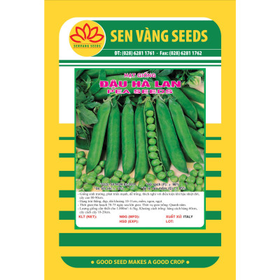 Hạt giống đậu Hà Lan VTS24