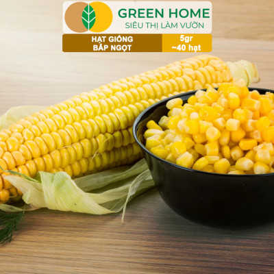 Hạt Giống Bắp Ngọt, Greenhome, Gói 5GR~40 hạt, Dễ Trồng Quanh Năm, Nảy Mầm Cao, T29