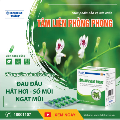 Thực Phẩm BVSK Tâm Liên Phòng Phong - Hỗ Trợ Giảm Các Triệu Chứng Đau Đầu, Hắt Hơi, Sổ Mũi, Ngạt Mũi