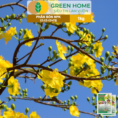 Phân Bón NPK 17-17-17, Greenhome, Gói 1kg, Bung Chồi Đọt, Thúc Nút Kim, Tạo Mầm Dưỡng Hoa
