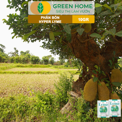Phân Bón Hyper Lyme GreenHome, Gói 10Gr, Chống Rụng Cấp Tốc, Sốc Nhiệt, Sốc Nước, Giải Độc Cây Trồng